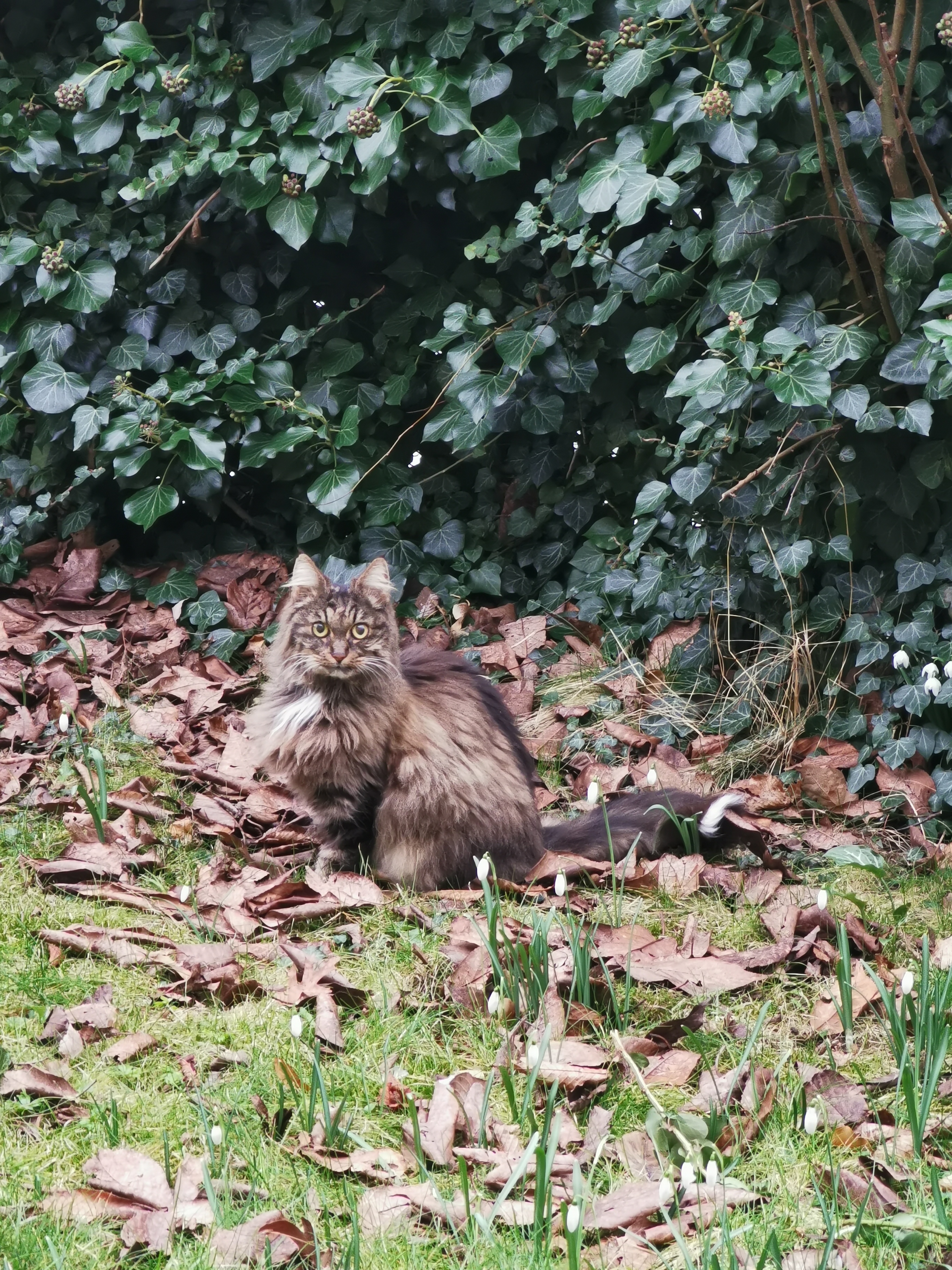 Føvlings siste dag ude, hun forsøger at nyde livet