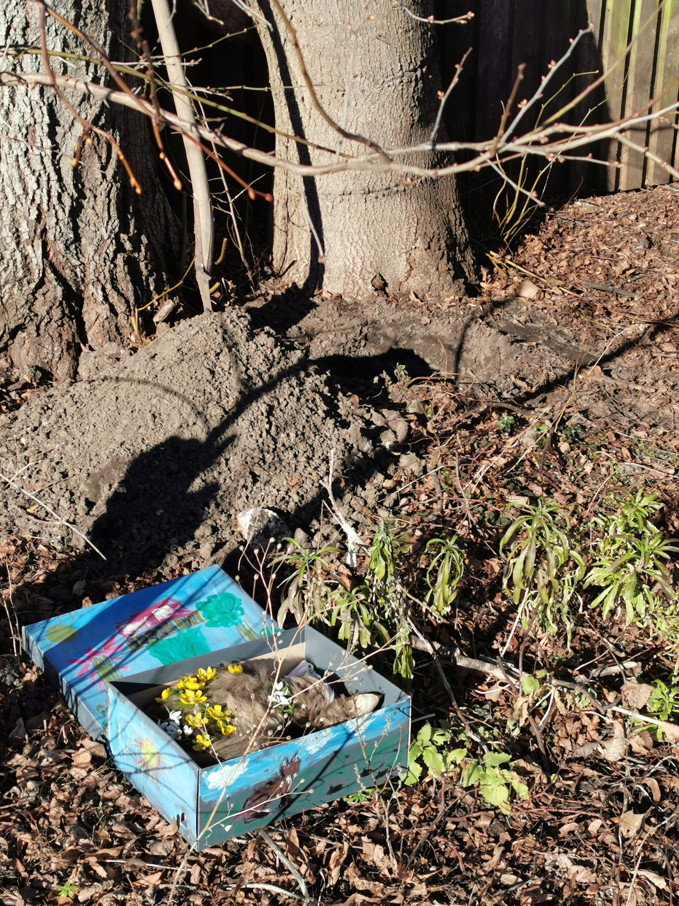 Føvling kommer rundt i hvaen på hendes yndlings pladser før hun bliver begravet